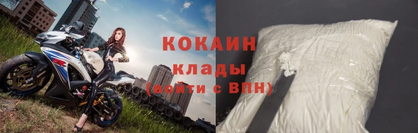 шишки Пестово