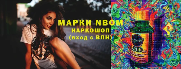 дживик Осташков