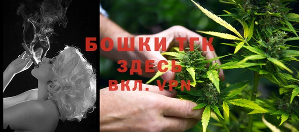шишки Пестово