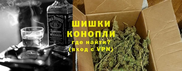 шишки Пестово
