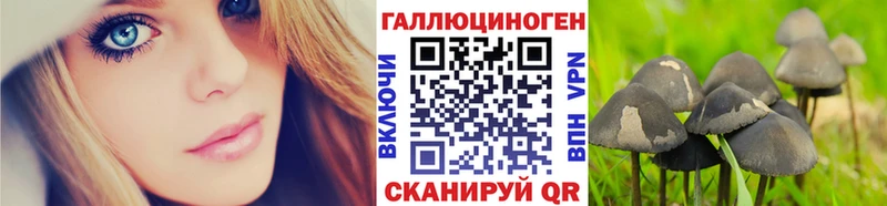 Галлюциногенные грибы GOLDEN TEACHER  Макушино 